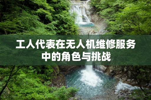 工人代表在无人机维修服务中的角色与挑战