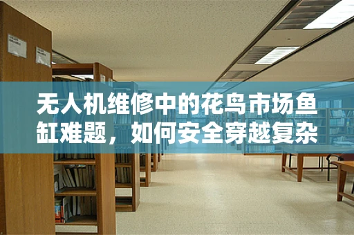 无人机维修中的花鸟市场鱼缸难题，如何安全穿越复杂环境？