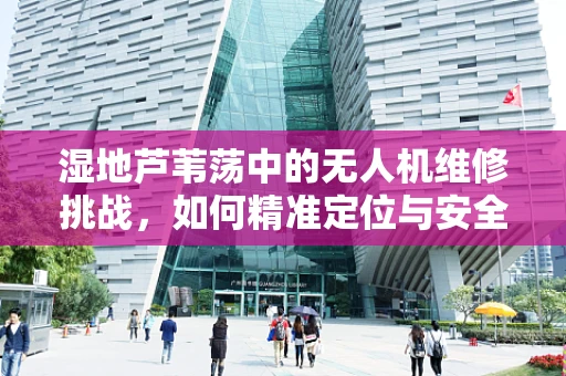 湿地芦苇荡中的无人机维修挑战，如何精准定位与安全作业？