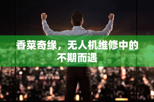 香菜奇缘，无人机维修中的不期而遇