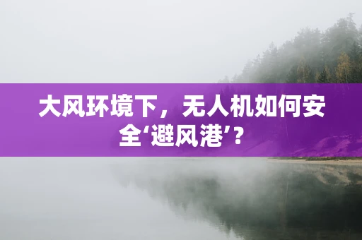 大风环境下，无人机如何安全‘避风港’？