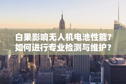 白果影响无人机电池性能？如何进行专业检测与维护？