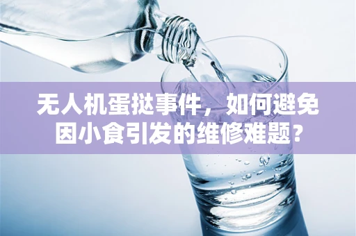 无人机蛋挞事件，如何避免因小食引发的维修难题？