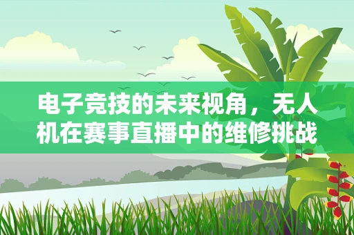电子竞技的未来视角，无人机在赛事直播中的维修挑战与解决方案