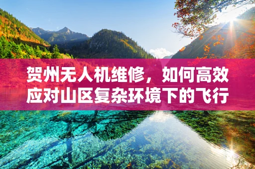 贺州无人机维修，如何高效应对山区复杂环境下的飞行故障？
