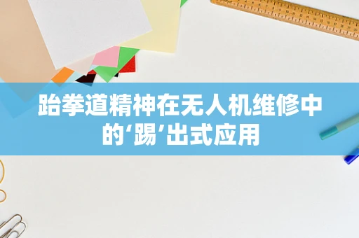 跆拳道精神在无人机维修中的‘踢’出式应用