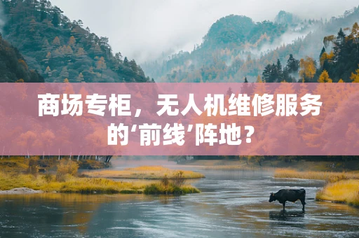 商场专柜，无人机维修服务的‘前线’阵地？