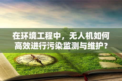 在环境工程中，无人机如何高效进行污染监测与维护？