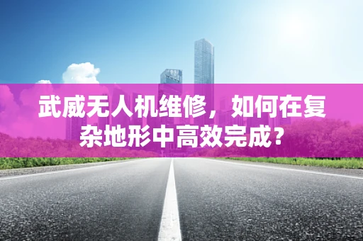 武威无人机维修，如何在复杂地形中高效完成？