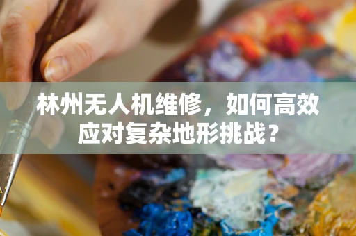 林州无人机维修，如何高效应对复杂地形挑战？