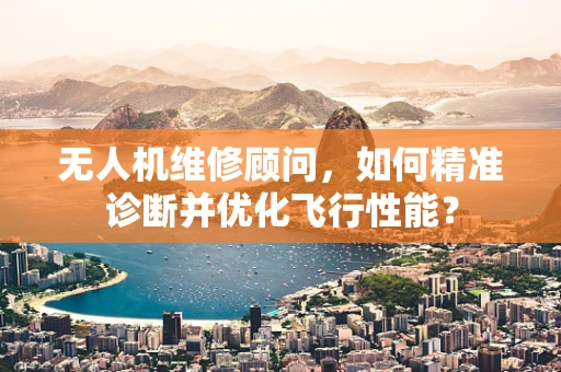 无人机维修顾问，如何精准诊断并优化飞行性能？