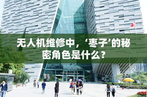 无人机维修中，‘枣子’的秘密角色是什么？