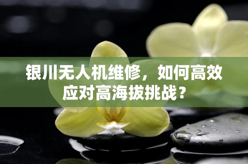 银川无人机维修，如何高效应对高海拔挑战？