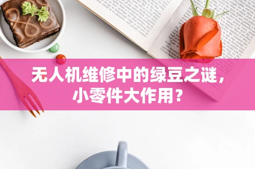 无人机维修中的绿豆之谜，小零件大作用？
