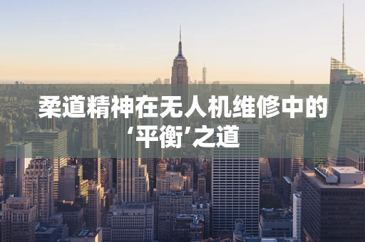 柔道精神在无人机维修中的‘平衡’之道