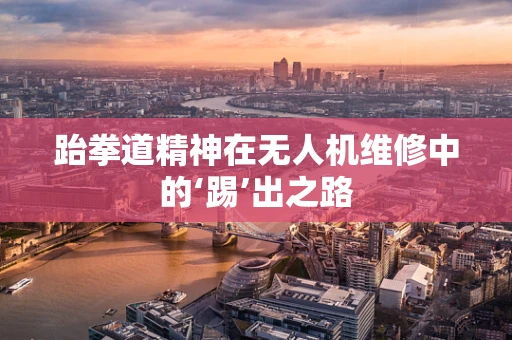 跆拳道精神在无人机维修中的‘踢’出之路