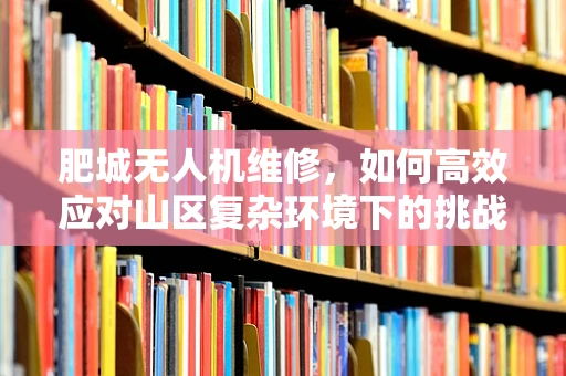 肥城无人机维修，如何高效应对山区复杂环境下的挑战？