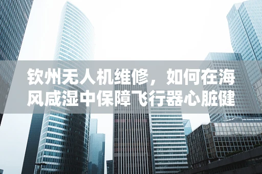 钦州无人机维修，如何在海风咸湿中保障飞行器心脏健康？