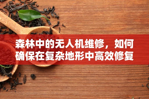 森林中的无人机维修，如何确保在复杂地形中高效修复？
