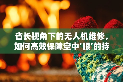 省长视角下的无人机维修，如何高效保障空中‘眼’的持续运作？