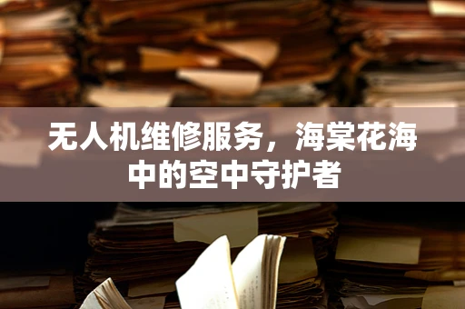 无人机维修服务，海棠花海中的空中守护者
