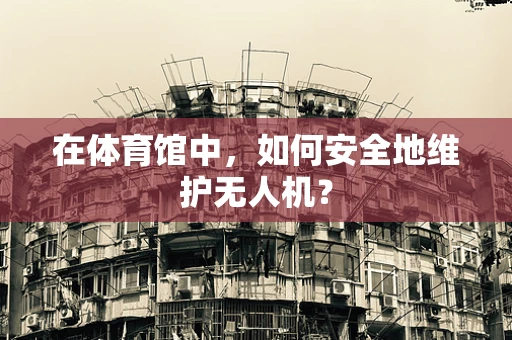 在体育馆中，如何安全地维护无人机？