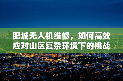 肥城无人机维修，如何高效应对山区复杂环境下的挑战？