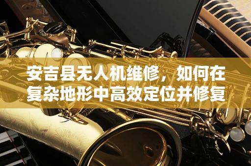 安吉县无人机维修，如何在复杂地形中高效定位并修复故障？