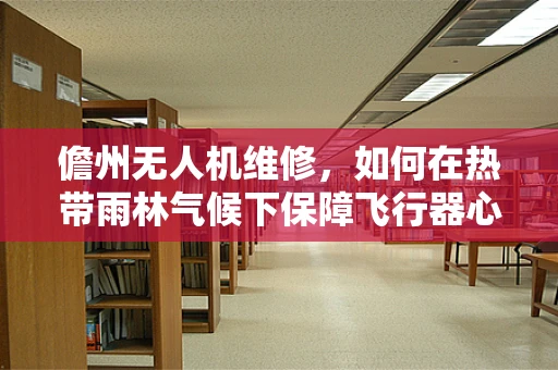 儋州无人机维修，如何在热带雨林气候下保障飞行器心脏健康？
