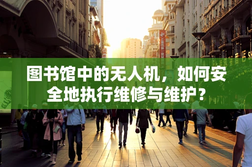 图书馆中的无人机，如何安全地执行维修与维护？