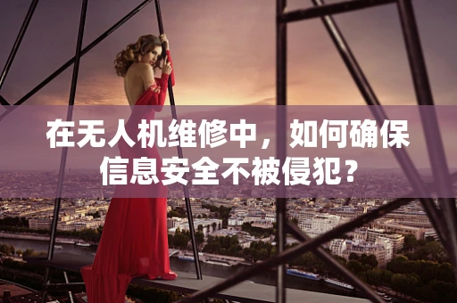 在无人机维修中，如何确保信息安全不被侵犯？