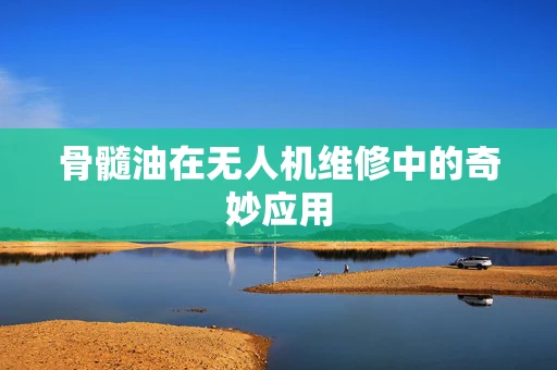 骨髓油在无人机维修中的奇妙应用