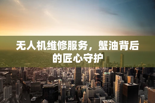 无人机维修服务，蟹油背后的匠心守护
