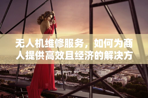 无人机维修服务，如何为商人提供高效且经济的解决方案？