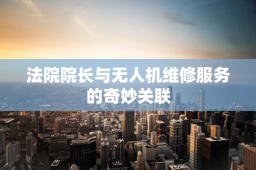 法院院长与无人机维修服务的奇妙关联