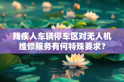 残疾人车辆停车区对无人机维修服务有何特殊要求？