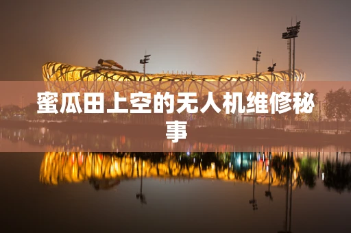 蜜瓜田上空的无人机维修秘事