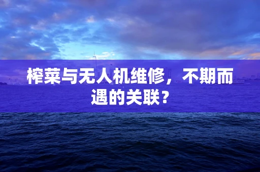 榨菜与无人机维修，不期而遇的关联？