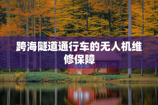 跨海隧道通行车的无人机维修保障