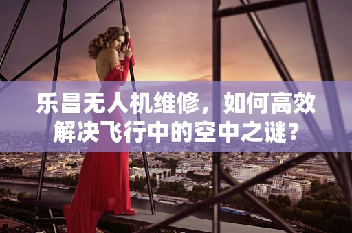 乐昌无人机维修，如何高效解决飞行中的空中之谜？