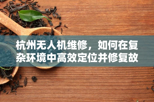 杭州无人机维修，如何在复杂环境中高效定位并修复故障？