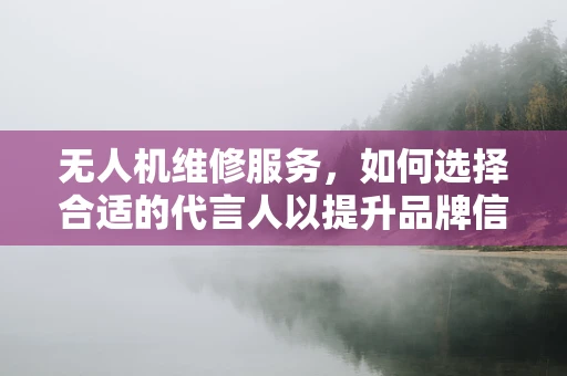 无人机维修服务，如何选择合适的代言人以提升品牌信任度？