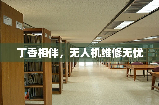 丁香相伴，无人机维修无忧