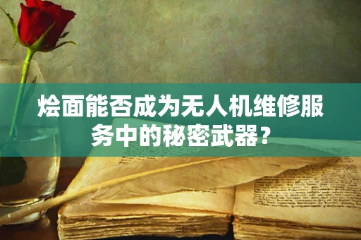 烩面能否成为无人机维修服务中的秘密武器？