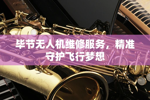 毕节无人机维修服务，精准守护飞行梦想