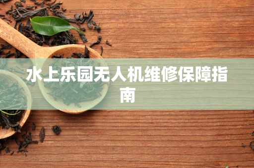 水上乐园无人机维修保障指南