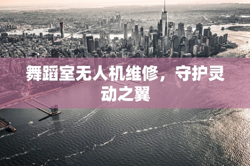 舞蹈室无人机维修，守护灵动之翼