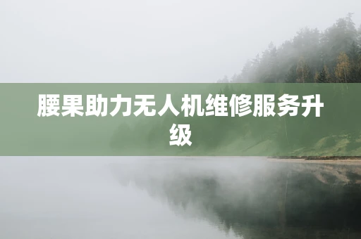 腰果助力无人机维修服务升级