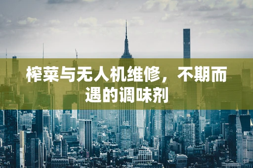 榨菜与无人机维修，不期而遇的调味剂