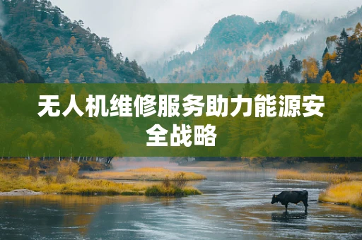 无人机维修服务助力能源安全战略